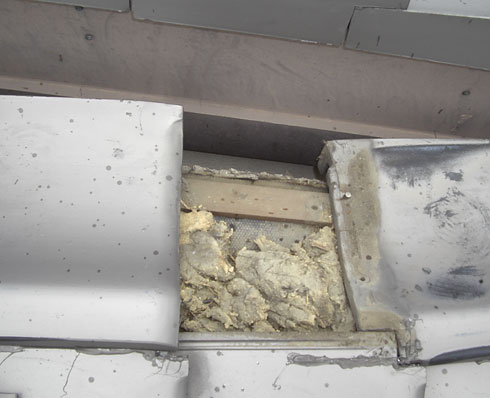 雨漏り修理のお見積りをご検討されて、屋根全体のリフォームへと切り替えられました。